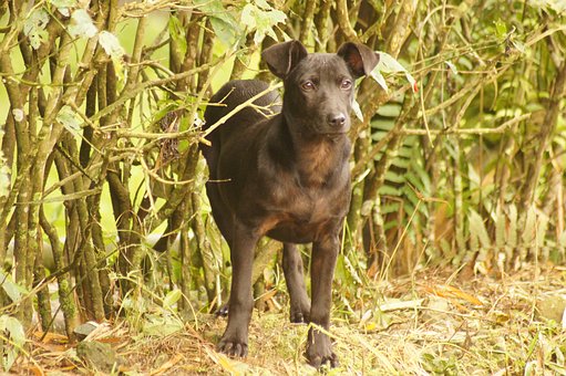 2009ʡ߿M֮վϼҵTڡ