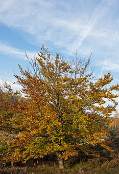 如何管理孩子玩游戲的時間