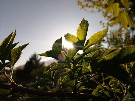 兒子迷戀游戲怎么辦