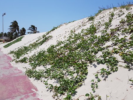 初三化學(xué)怎么教?這位資深老師的“笨辦法”里藏著大智慧