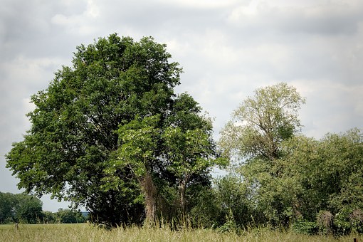 LnãĸWǰ]