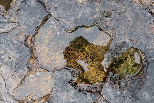 班主任提醒:決定孩子之間成績差距的,不是智商,而是這10種習慣