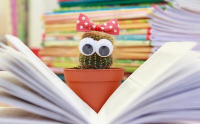 3��������ҫ���ʱ�����