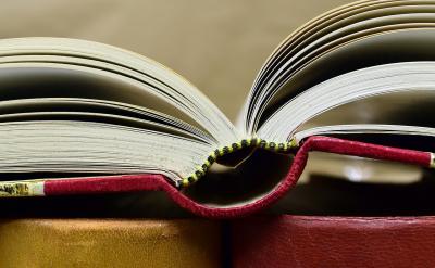 別指望找個名師就能躺贏啊!再好的老師也得...