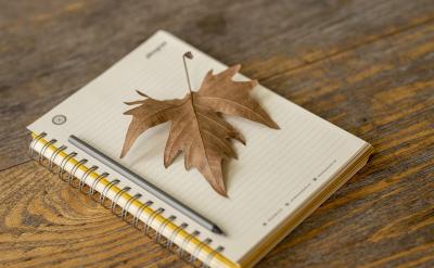 ����������Ů��ͥ���ӳ������У���ҕ����ʩ��