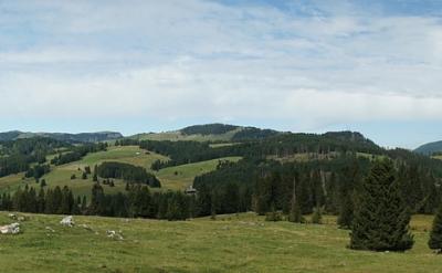 ①防爆炸:點(diǎn)燃可燃性氣體(如H2、CO、CH4)...