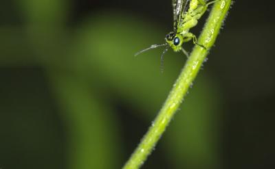 2. �Ɇ����е��÷�