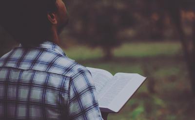 語文課程標準,有意識地把“語文素養”凸現...