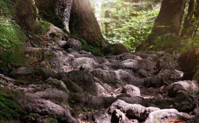 1.(本溪中考)下周我們學校將有一個藝術節。