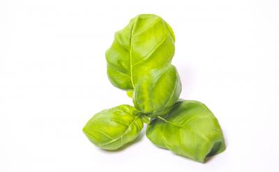 對(duì)好的行為給予獎(jiǎng)勵(lì)