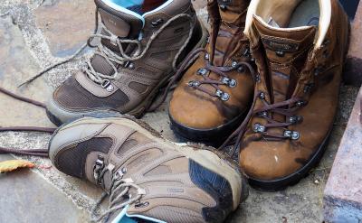 national science foundation (nsf) 國家科...