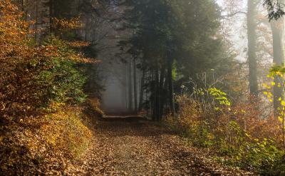 ���L�Ľ�ɫ��؟��