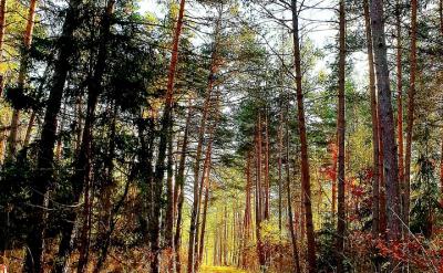 ȻҪ(sh)F(xin)ЧHӜͨHHҪA...