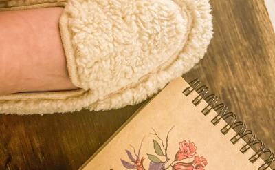 19��RNA���ڼ�����������DNA��һ�l朞�ģ��...