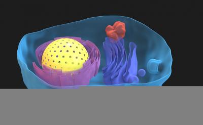 ������ӛ���ă��ݾ��ǽo���������^�ĵ��ΈD...