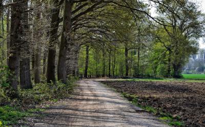 ��������늌W���