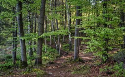 ���ѣ�؟�����Թ���H�o�����£�߀�o������...