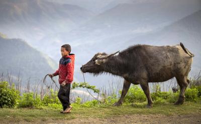 4.從二十一后的―幾十幾‖直至―幾百幾十幾...