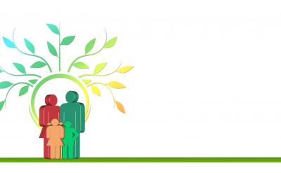 4. Ԫ2ʵCۇȫ...