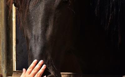 B(yng)l(f)ɢ˼SĄ(l)W(xu)ĲͬĽǶ˼(wn)...