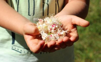 ӛ���˽⵽����������ʽ��Wǰ���WУ���S��...