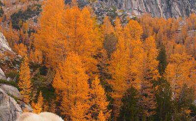 2���^���o�Ƭ���A���@��