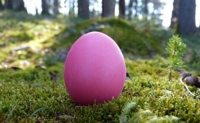 5�����c��̖�����_���\�þ�̖����̖���D̖...