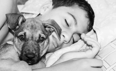 ��(j��ng)�ƌW(xu��)���C��˹̹����W(xu��)��(sh��)�(y��n)�l(f��)�F(xi��n)��Ҏ(gu��)�t��(zh��)...