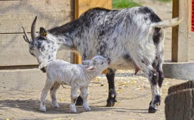 1</p> <p>1�����M�߼��c�I�B���ą^�e