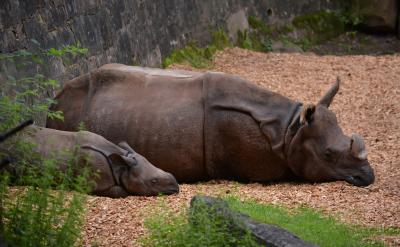 ���o���˱����f�^���x���ã����x�����x�Õ�...