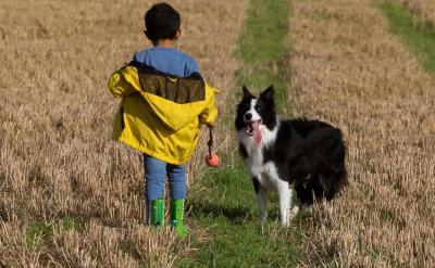 2、幻燈出示作者簡介