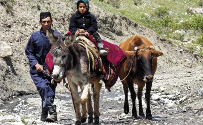 3������ԏ����Ĵ�ķ���֣����Է֞飺��...