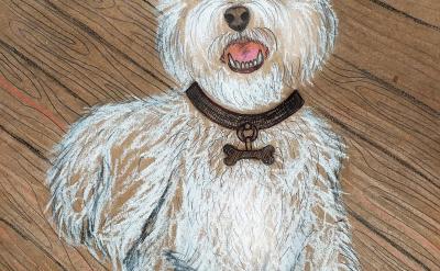 4、全面綜合復(fù)習(xí)一周。