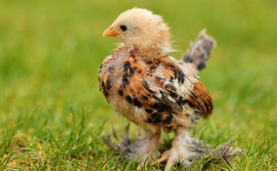 通過與老師和孩子的溝通,了解孩子的當下情...