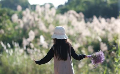 �ġ������OӋ�n�ý̌W�����x��Ч�Ľ̌W��ʽ...