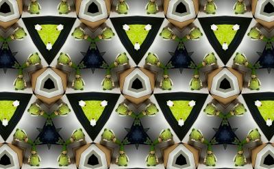 ӣԪǰ313ꡪԪǰ238꣩Ǒĩ...