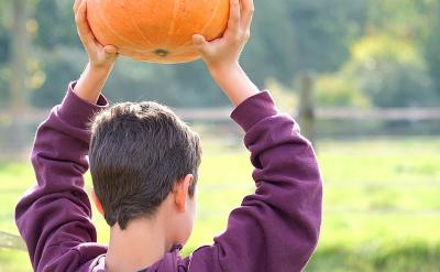 �����ᳫ�����L�����ʩ��