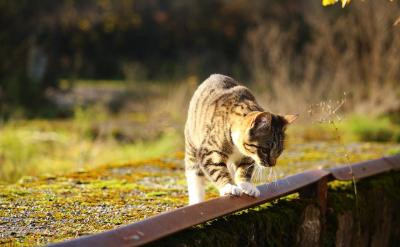 �О���@��һ���˵�Ʒ�ԡ�