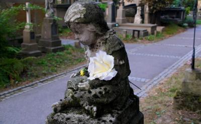 凱莉的智慧:讓孩子自己發現錯誤