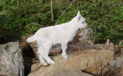 �����D�D��(�ˡ���)�o�o���n��һ���n��ָ...