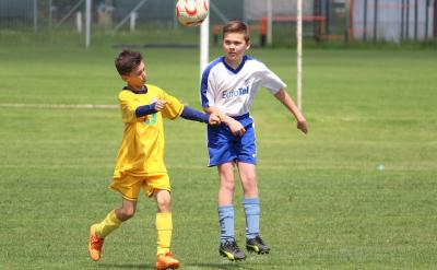 101 цинк zinc ...