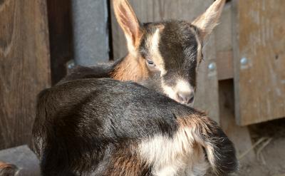 �ġ����Ѓ����������Ҫע��p�pؓ��Ӱ...