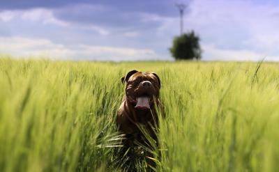 1�����ջ����Ĕ�(sh��)�W(xu��)֪�R