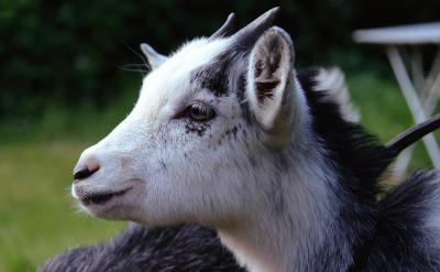 ⑤那些尚未歸類的問題,詳細標明,及時突破...