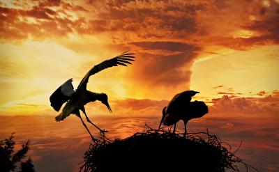 每次月考或者統(tǒng)考前幾天,不再嘗試新試卷,...