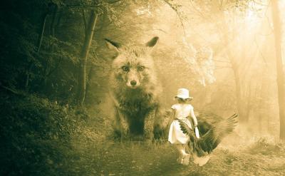 �̎��������S�W���в�ͬ�Ӵεİlչ����ץס...