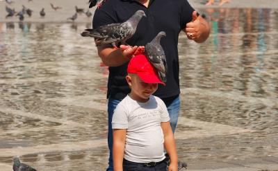 2���w�e�˵ĸ��X