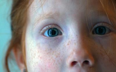 ���������̌W�����D�Թ�������