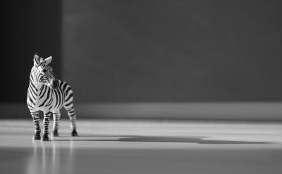 ��.ÿһ�n�����n��ע�1��Ҫʮ����ҕ��