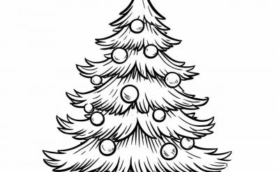 ��ˣ��]������I(l��ng)�򡢾����c�߿�ƽ�е��x��...